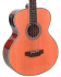 Freshman acoustic bass guitar